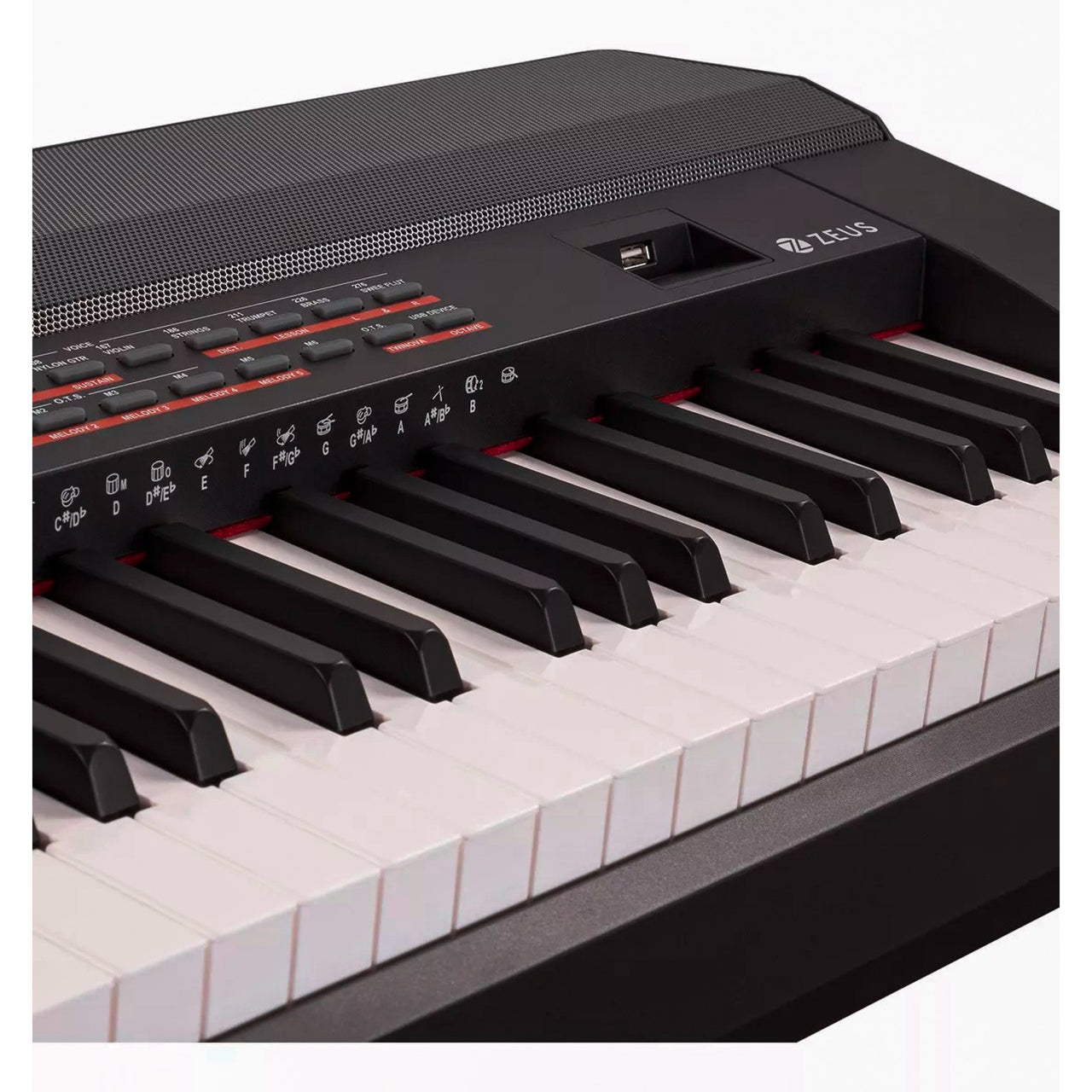 Piano Keyboard Zeus Digital 88 Teclas 2x20w