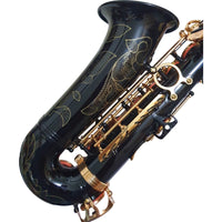 Thumbnail for Sax Alto Century Cnsx016 Negro Llaves Doradas