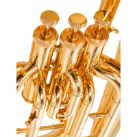 Thumbnail for Euphonium Yamaha Yep201 Estandar En Sib 3 Pistones