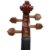 Thumbnail for Violin Amadeus Cellini Mv012b Brillante 4/4 Solid Boxwood Clav-bar
