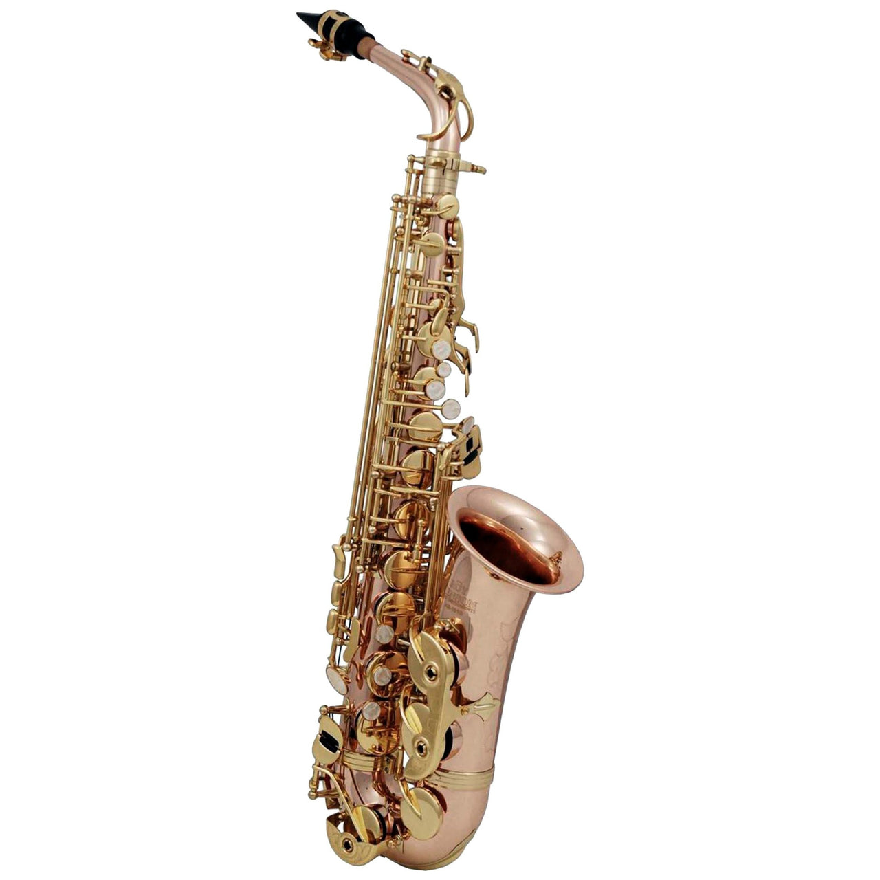 Sax Alto Roy Benson Bronce Llaves Laqueadas, As-202g