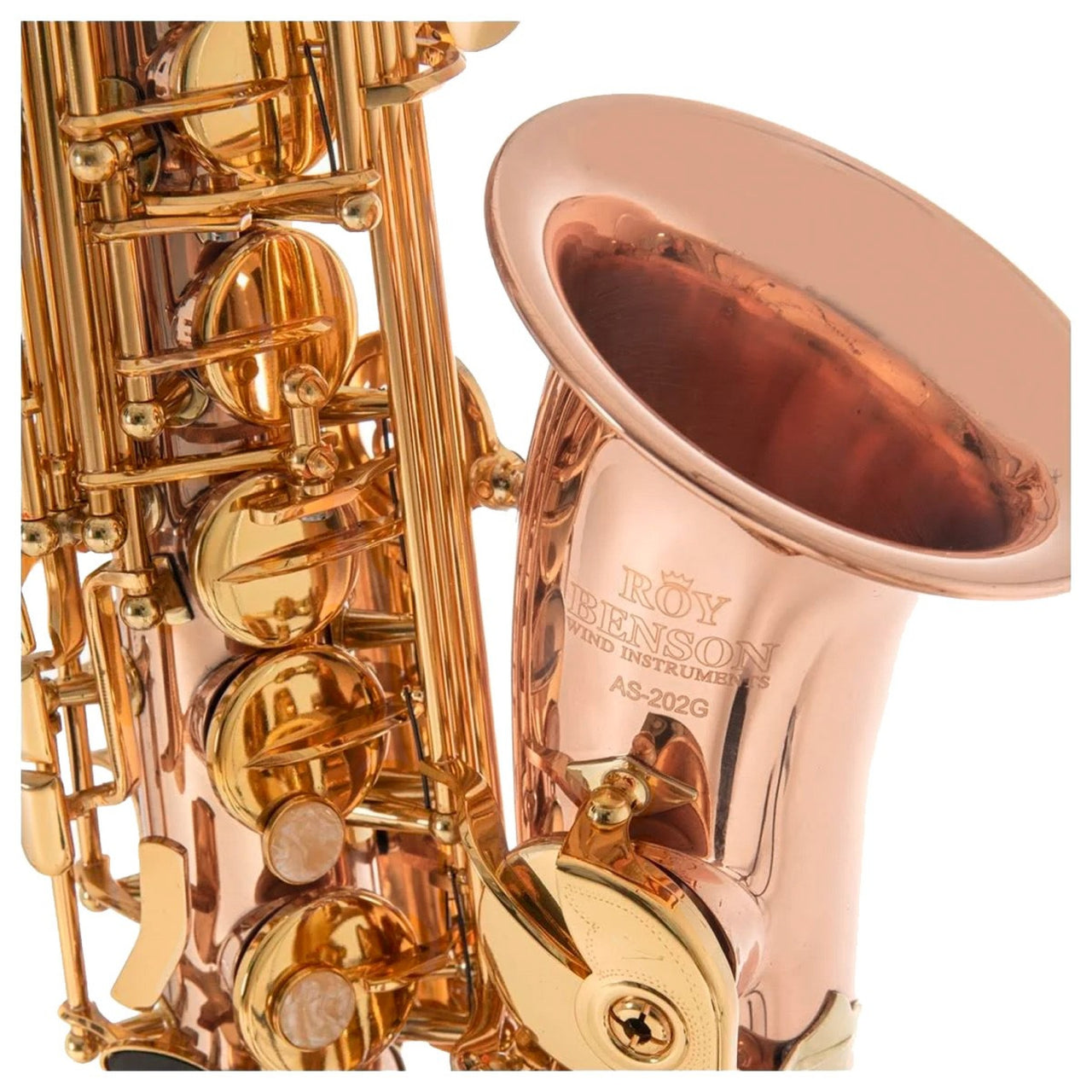 Sax Alto Roy Benson Bronce Llaves Laqueadas, As-202g