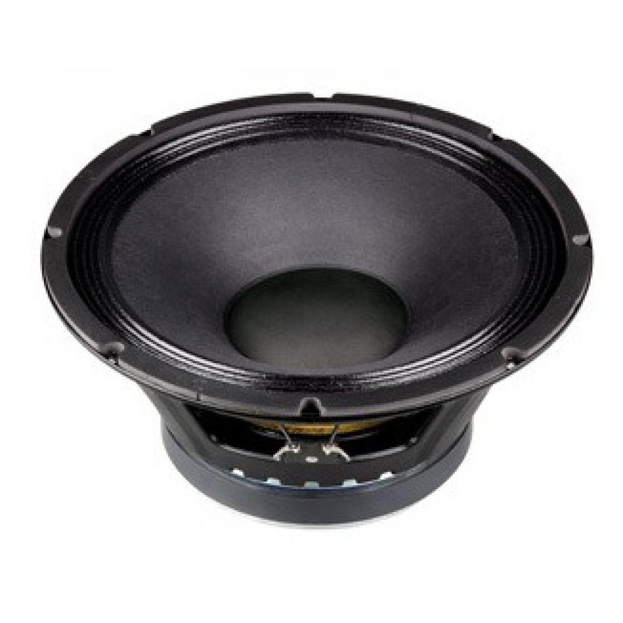 P.Audio E12-300s Bocina