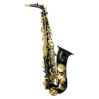 Thumbnail for Sax Alto Fanpro Sxblk Mib Niquel Negro